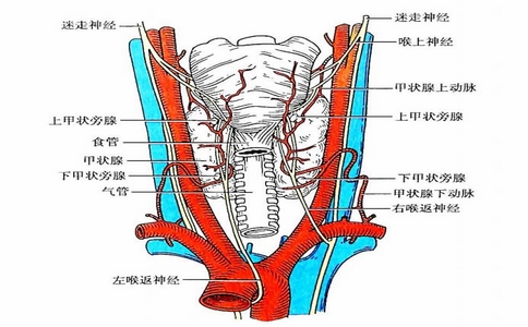 2025-02-12_術(shù)中喉返神經(jīng)監(jiān)測儀_3