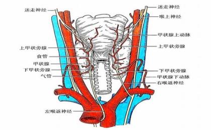 喉返神經監(jiān)測儀品牌推薦與生產廠家介紹